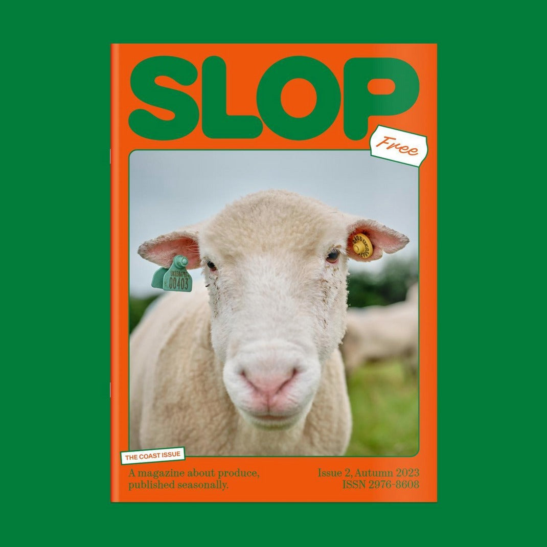 Collections – Slop Magazine