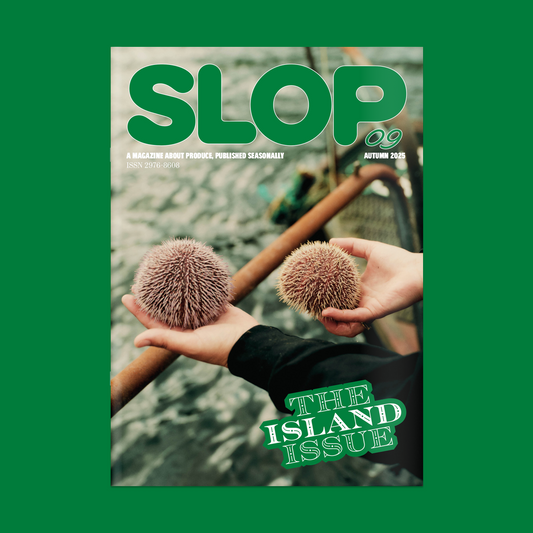 Slop Magazine Issue 9
