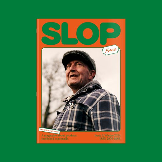 Slop Magazine Issue 3
