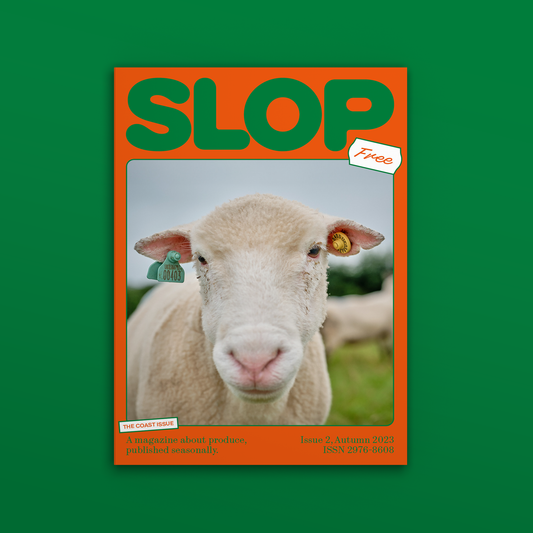 Slop Magazine Issue 2