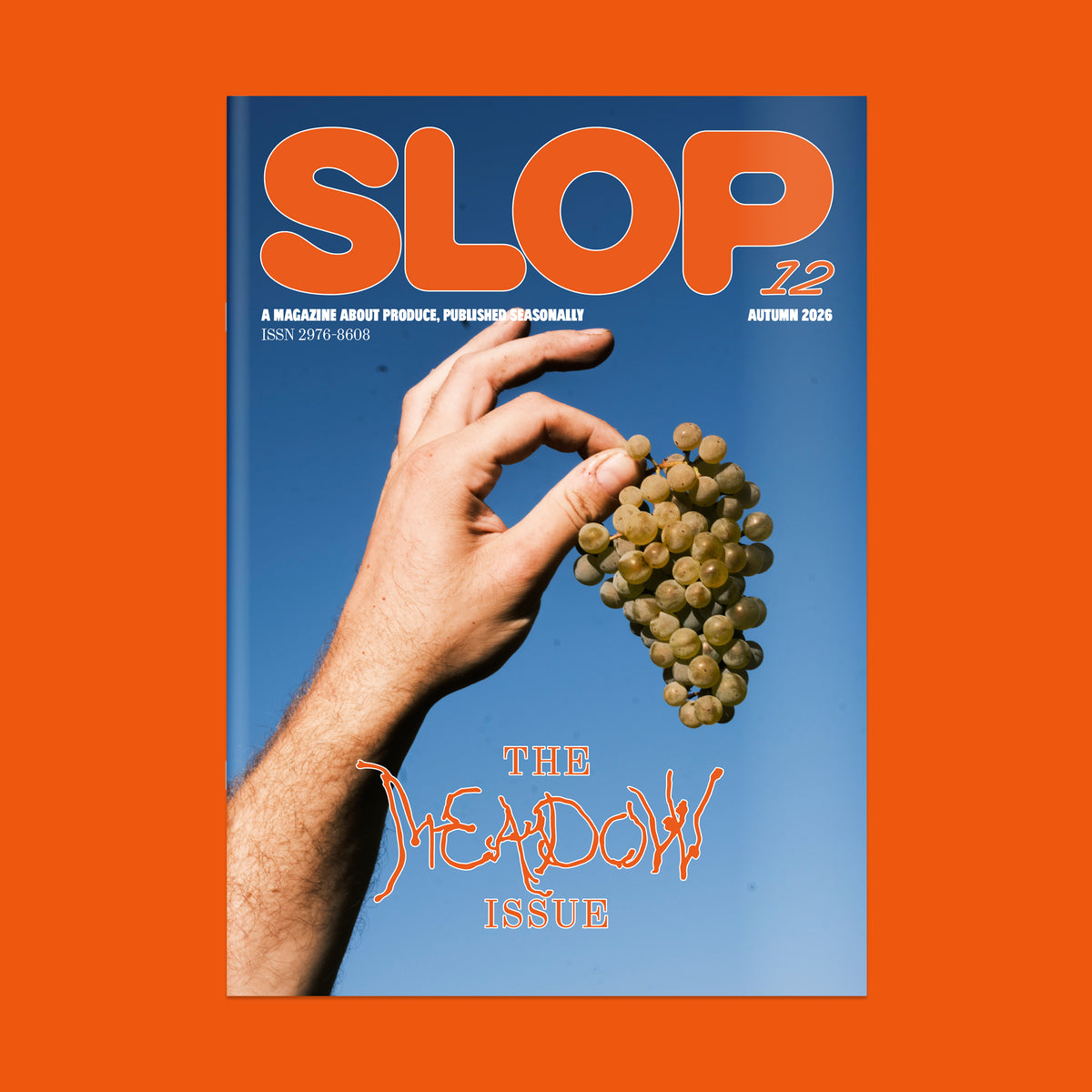 Slop Magazine Issue 12